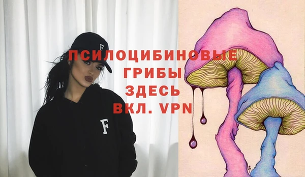 скорость Богданович